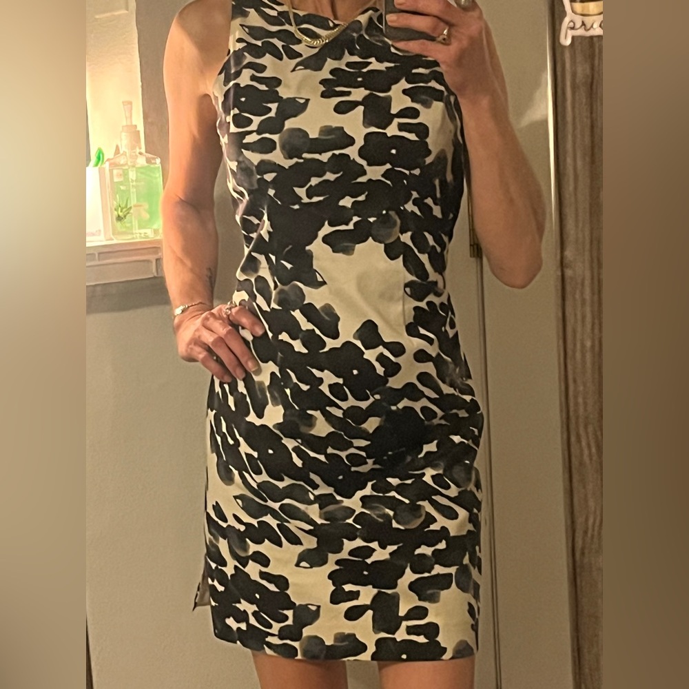 Ann Taylor Dress
